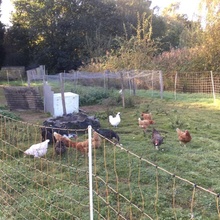 Homestead B&B Burgess Hill Esterno foto